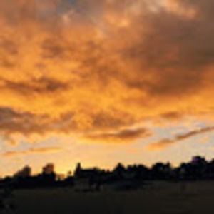 Meet your Posher, Regina